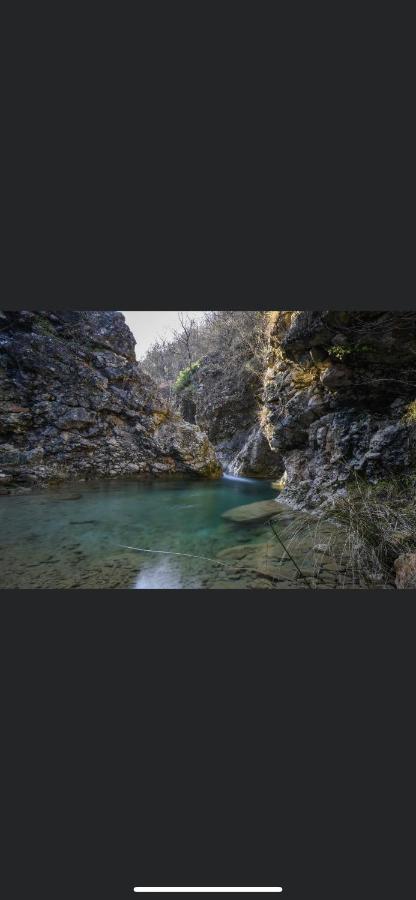 Luxury Knezovic *